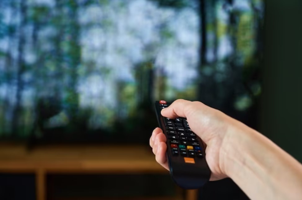 a hand holding holding a remote control in front of a TV set