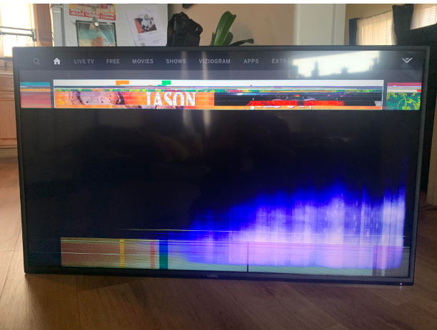 vertical and horizontal lines on the Vizio TV’s screen